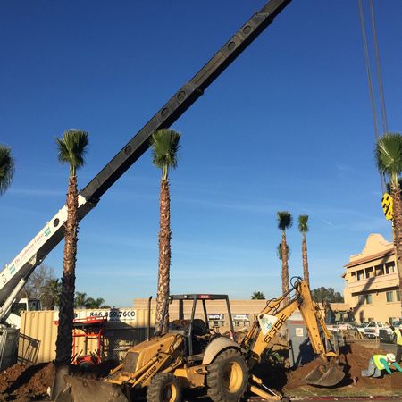 Backhoe rental, excavator rental, truck rental, tree spade rental