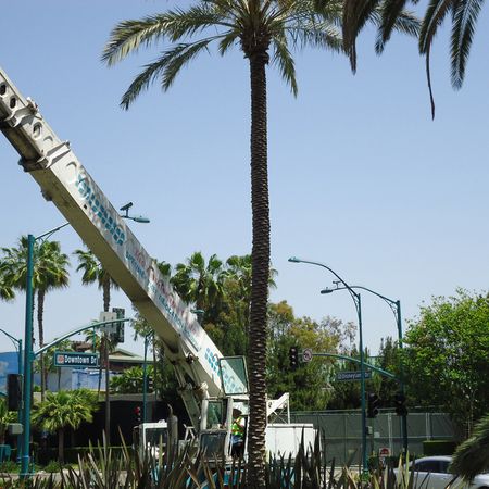 Crane Services, Crane Rental, Operated Equipment
