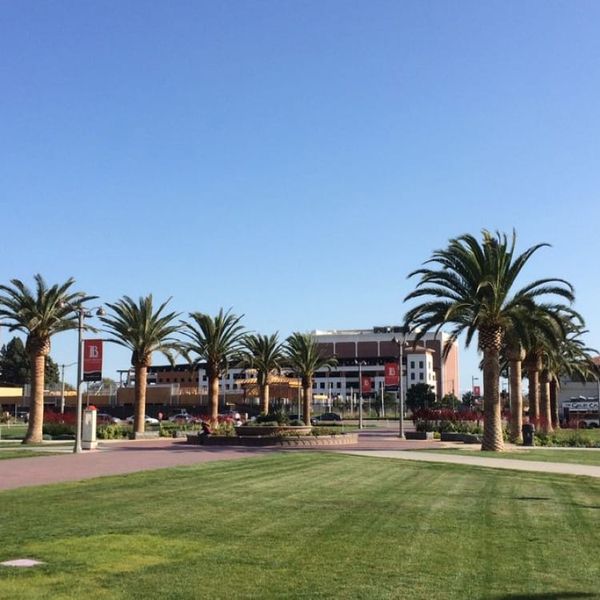 The Landscape Center