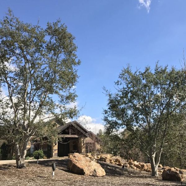 The Landscape Center