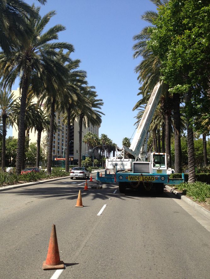 Crane Rental, Tree Crane, Tree Mover, Qualified Rigger, Qualified Signalman, Rigging, Big trees
